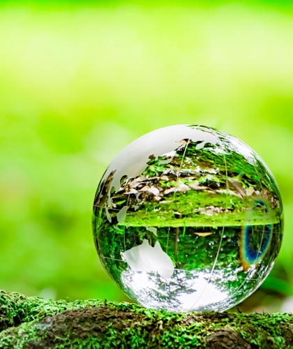 天然森林浴美学のイメージ