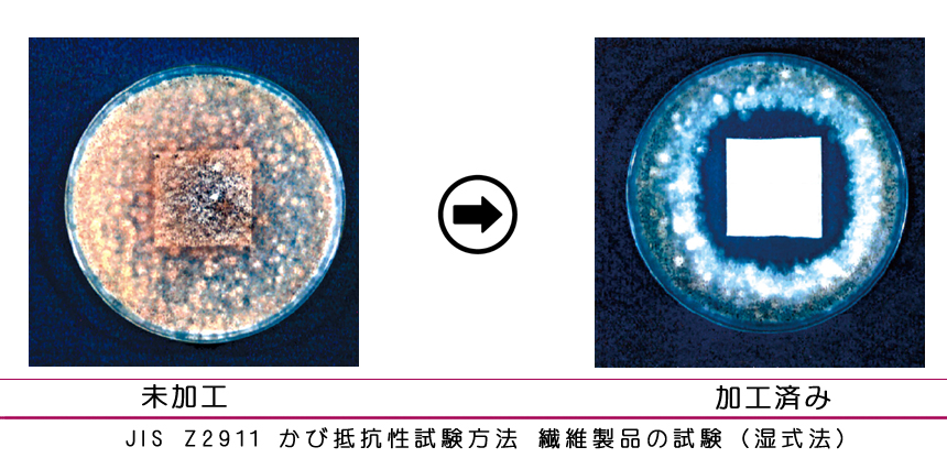 着物の防カビ加工